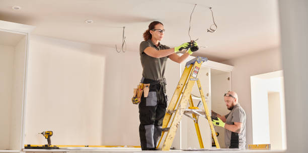 Best Licensed Electrician  in Ripley, TN